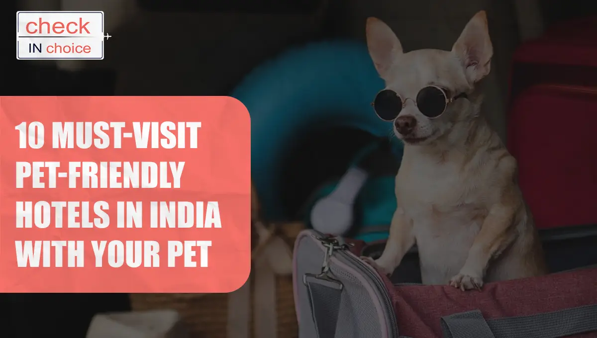 Pet-Friendly Hotels